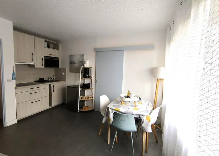 La Desirade Avec Parking- Port - Wifi Couchage En 160 Neuf * Agde